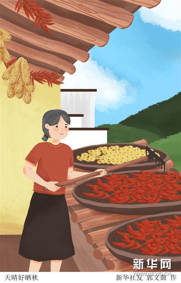 （圖表&middot;插畫）［二十四節氣&middot;立秋］天晴好曬秋