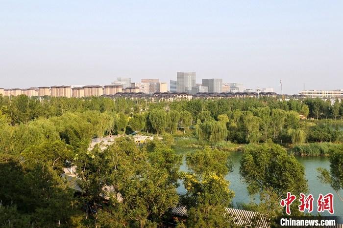 從完成頂層設(shè)計到如火如荼大規(guī)模建設(shè)，六年來，雄安新區(qū)如春天的竹子一般拔節(jié)生長，這座承載千年大計的“未來之城”已雄姿初顯。從“一張白紙”開始著墨，如今的雄安新區(qū)已是濃墨重彩的“山水畫”。<a target='_blank' href='/'>中新社</a>記者近日走訪了雄安新區(qū)多地，從“藍(lán)綠金”三色感受這座“未來之城”的巨大變化。圖為7月18日拍攝的河北雄安新區(qū)金湖公園。 <a target='_blank' href='/'>中新社</a>記者 易海菲 攝