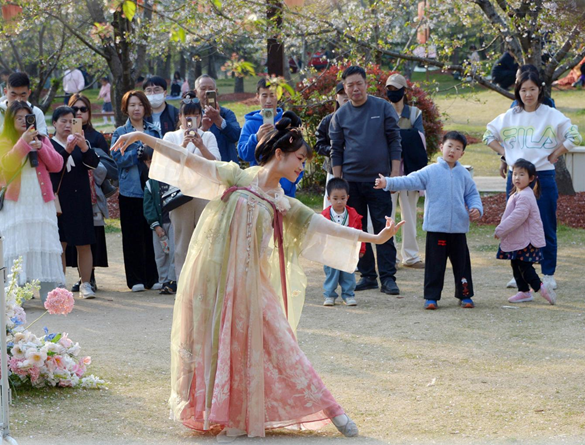 清明假期期間,上海顧村公園櫻花島上,游客在觀賞國風漢服快閃表演。(圖片來源:視覺中國)