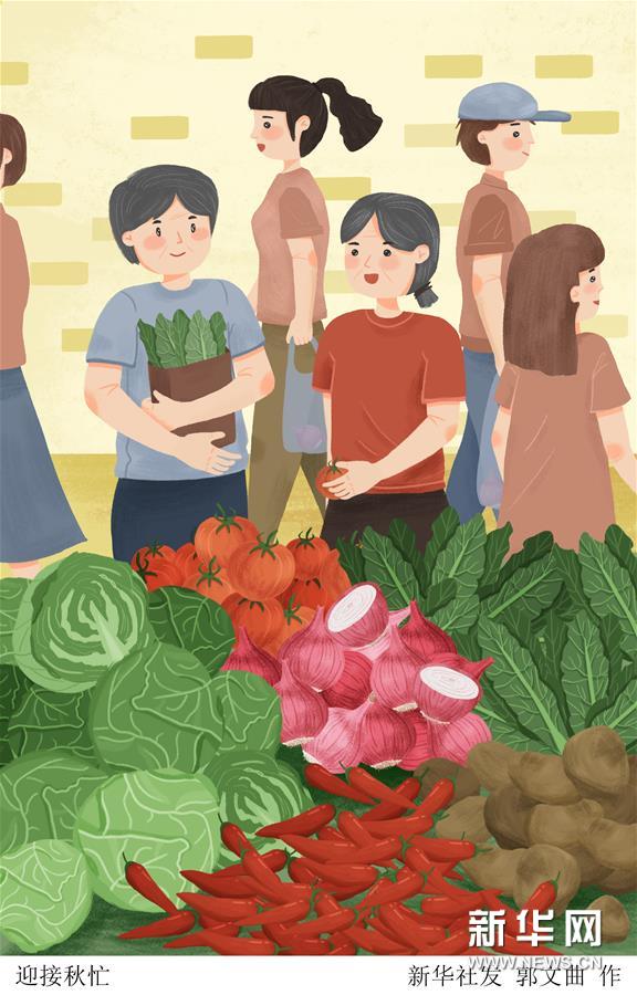 （圖表&middot;插畫）［二十四節氣&middot;立秋］迎接秋忙