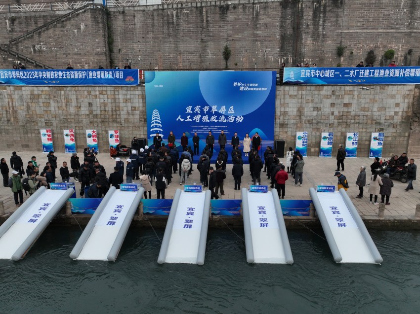 放流現場。宜賓市廣播電視臺供圖