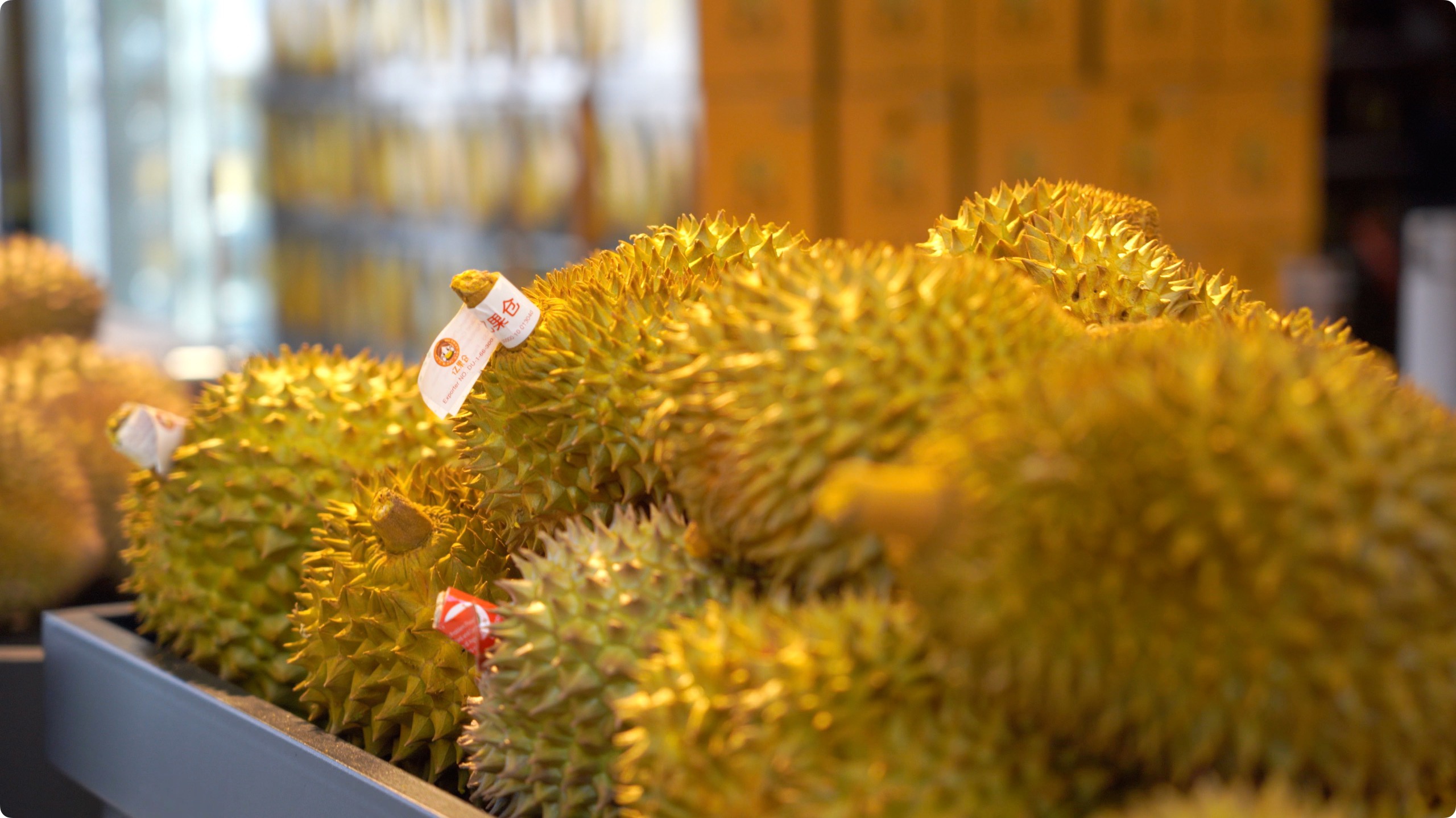 5月初,人民網記者申佳平攝