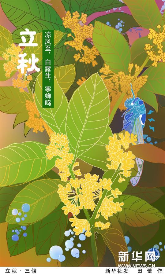 （圖表&middot;插畫）［二十四節氣&middot;立秋］立秋&middot;三候